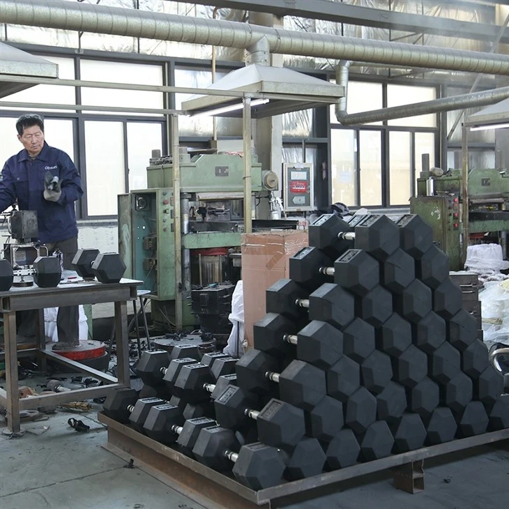 Hex Dumbbell Set 1 10kg Supplier