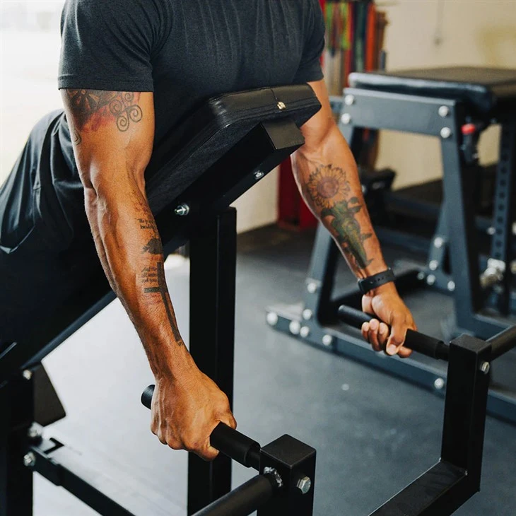 Chest Support T-Bar Row Machine suppliers
