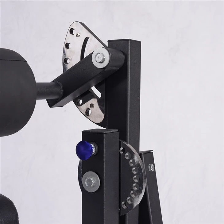 Leg Curl And Extension Machine best