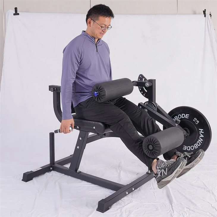 Leg Curl And Extension Machine price