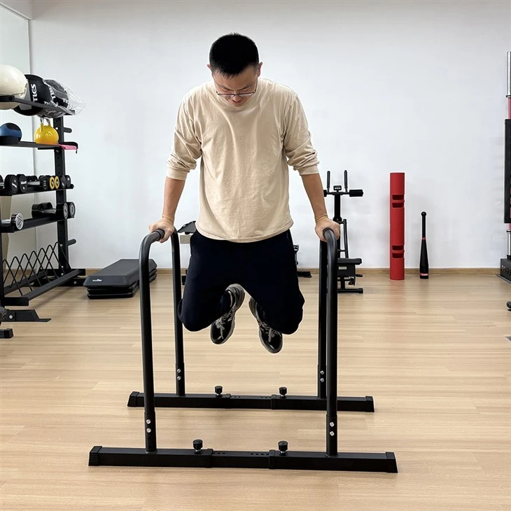 Parallettes Bars best