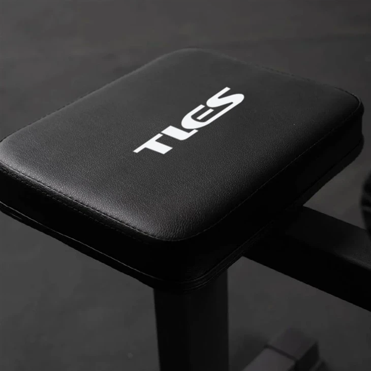 Seated Calf Raise Machine best
