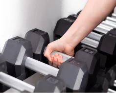 Barbells & Plates: The Cornerstone of Strength Training